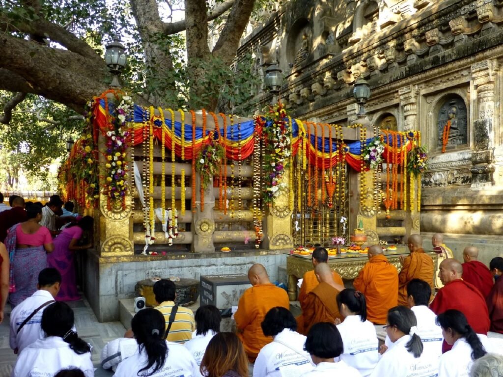 Bodhi Tree at the Mahabodhi Temple, Bodh Gaya