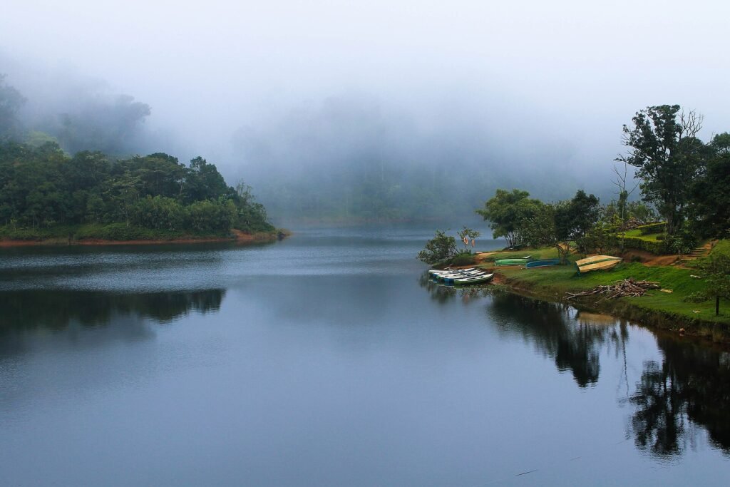 Forest and hills at Gavi in Kerala's Periyar Tiger Reserve