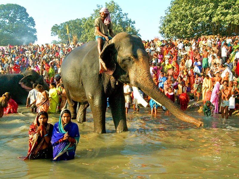 Sonepur Mela, Bihar